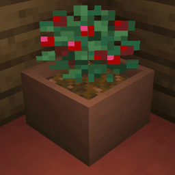 Botany Pots