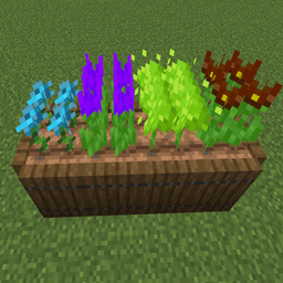 Flower Seeds 2 - Cyclic